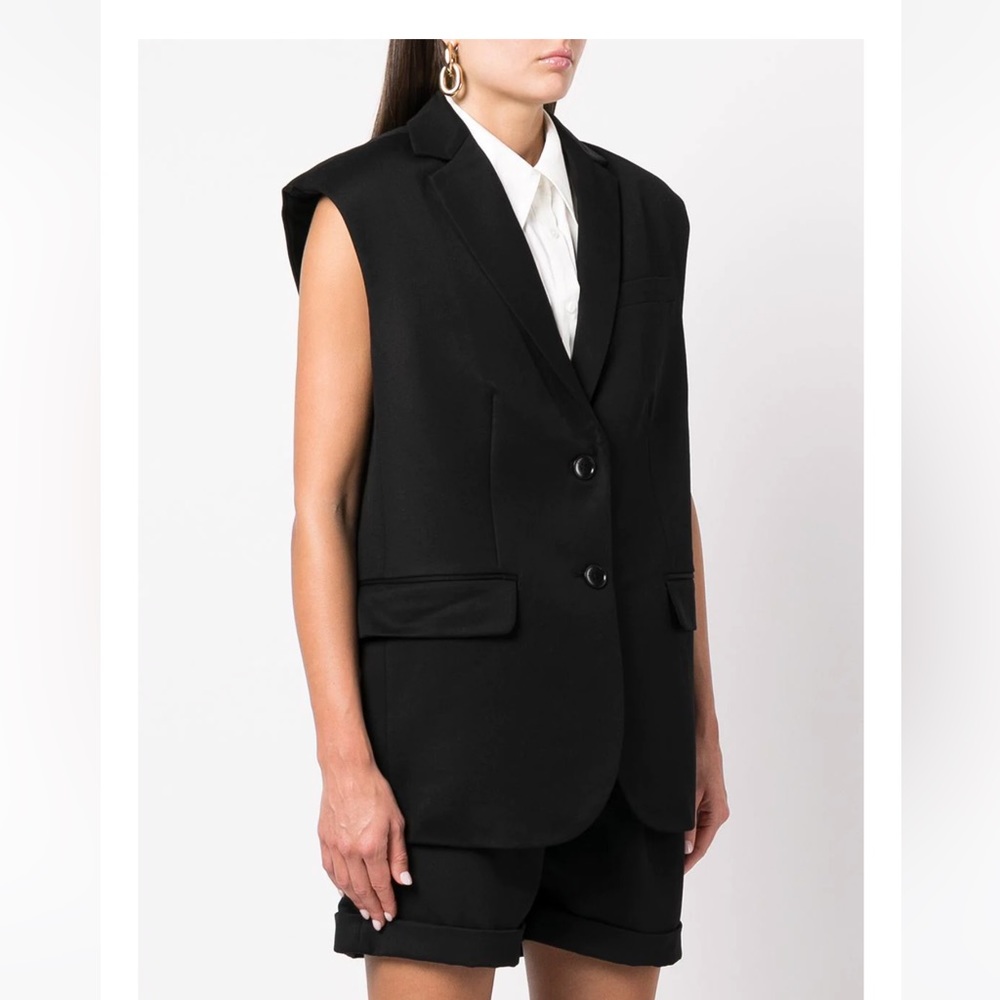 Anine bing ray wool vest NWT